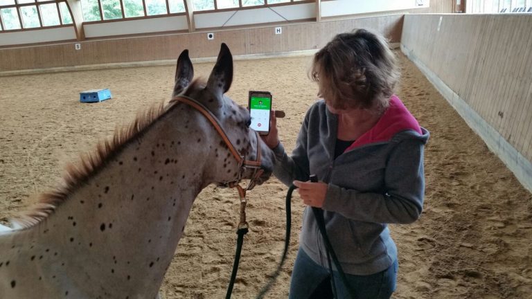 Moderne Technik zur Kommunikation mit dem Pferd. ;-)